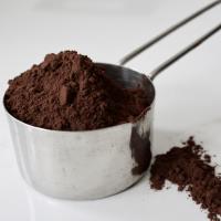 Cacao Barry Extra Brute Cocoa Powder 22/24% - 1 kg 200