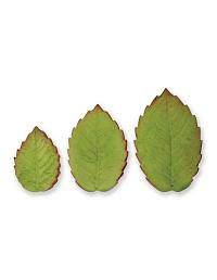 PME Rose Leaf Plunger Cutter Set of 3 200