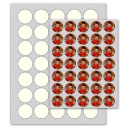 Photofrost 1.25" Circles Icing Sheets 35 Per Page 24/pkg