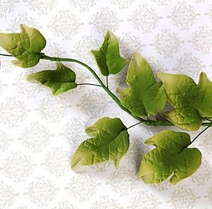 Ivy Leaf Filler - Green 300