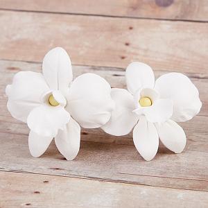 Small African Orchids - White 300