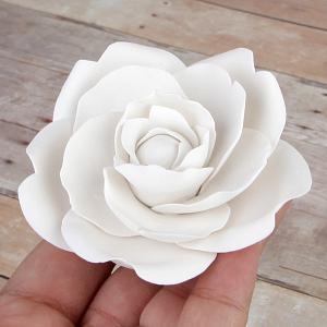 Camellia - White 300