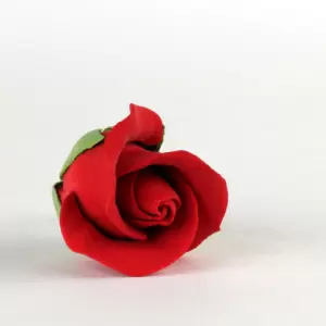 Garden Roses - Red 300