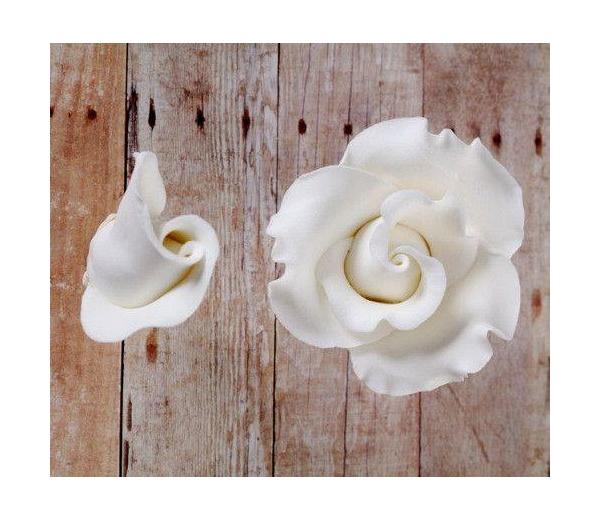 Classic English Roses Blooms & Buds - White 600