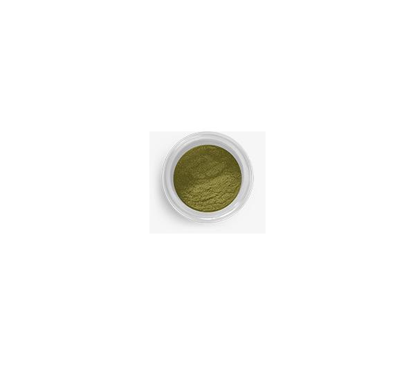 Golden Bronze FDA Sparkle Dust - 2.5 g 600