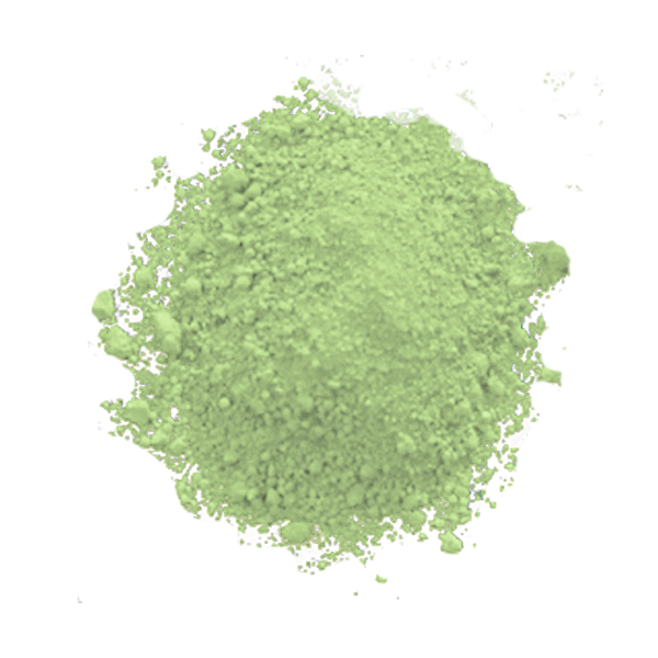 Cymbidium Petal Dust Elite Color 600