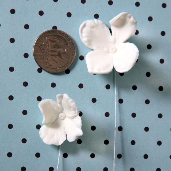 Hydrangea Blossoms - White 600