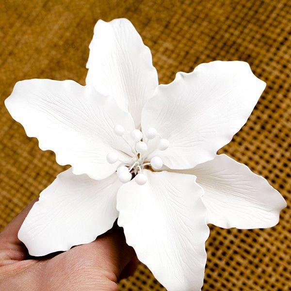 Casablanca Lily - White 600