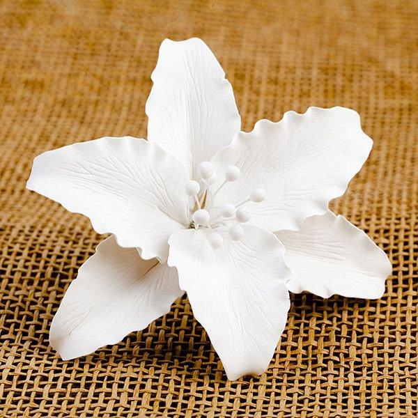 Casablanca Lily - White 600