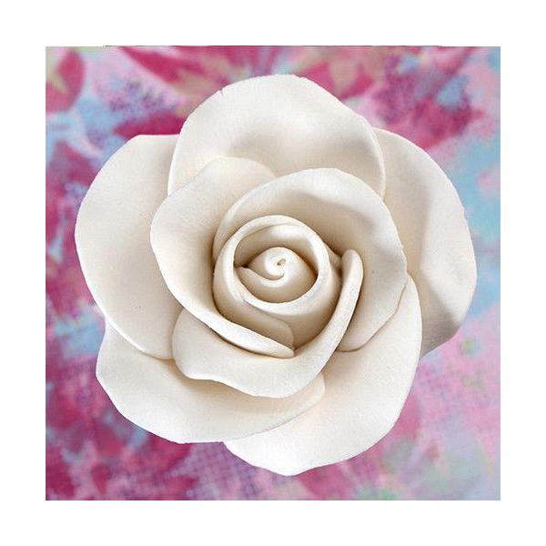 Tea Rose Medium - White