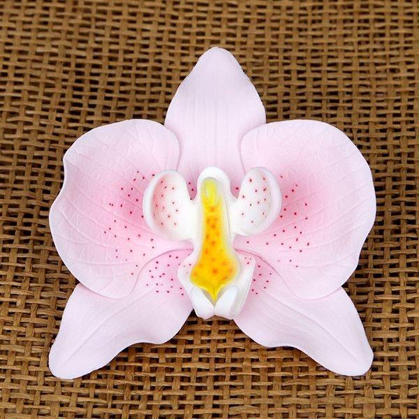 Phalaenopsis Orchid - Pink 600