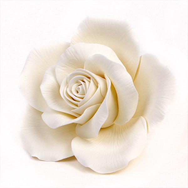 Queen Elizabeth Roses - White 600