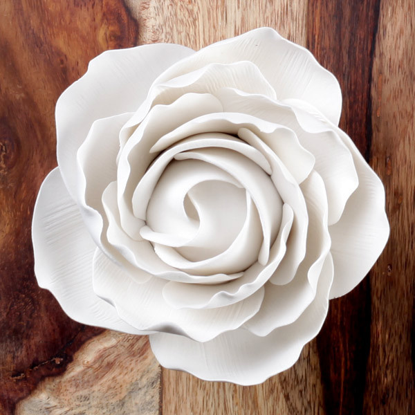 Giant Peace Rose - White