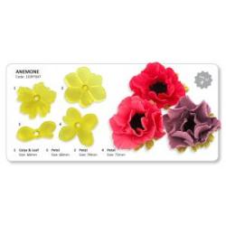 JEM Cutter Anemone Set of 4