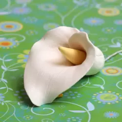 Calla Lily Medium