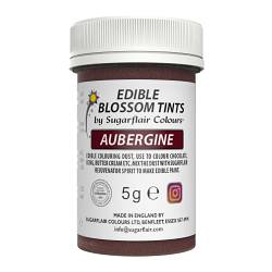 Aubergine Blossom Tint Food Colour by Sugarflair - 5G