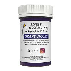Grape Violet Blossom Tint Food Colour by Sugarflair - 5G
