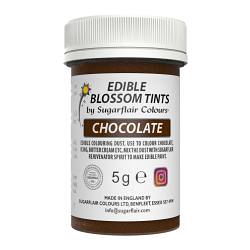 Chocolate Blossom Tint Food Colour by Sugarflair - 5G