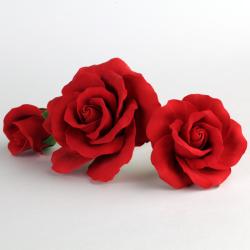Garden Roses - Red