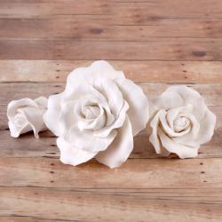 Classic Garden Rose - White