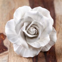 Extra Large Classic Garden Rose - White