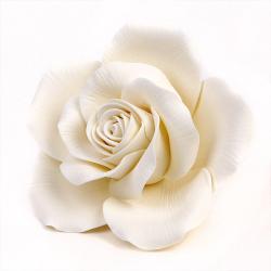 Queen Elizabeth Roses - White