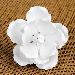 Medium Full Bloom Roses - White