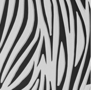 Bold Zebra Design Impression Mat 300