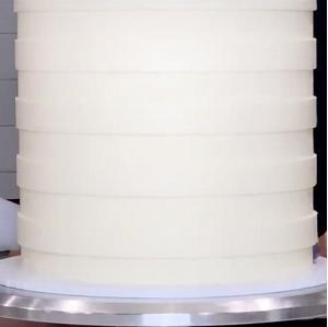 Henrietta Cake Comb by CakeSafe - 8" Height 300
