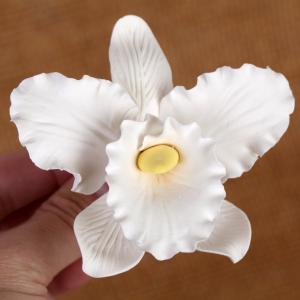 Cattleya Orchid Large - White 300