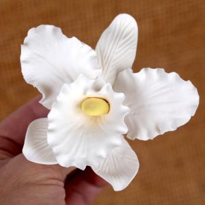 Cattleya Orchid Large - White 3