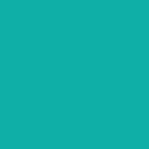 Turquoise Fondust - 4g 300
