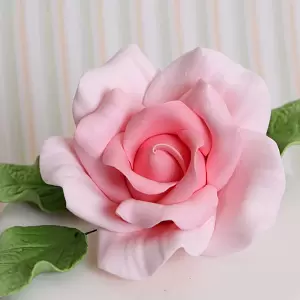 Giant Pink Rose 300
