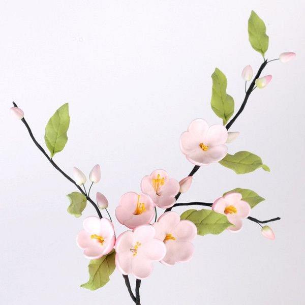 Apple Blossoms - Pink