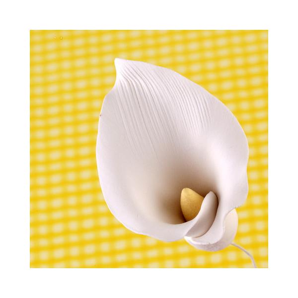 Calla Lily Large