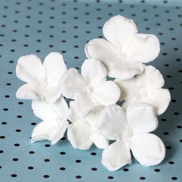 Hydrangea Blossoms - White 600