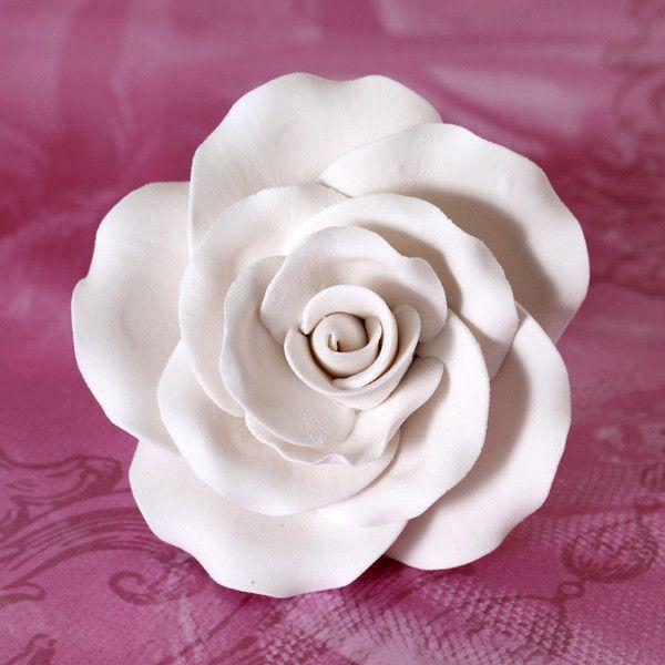 Garden Rose - White