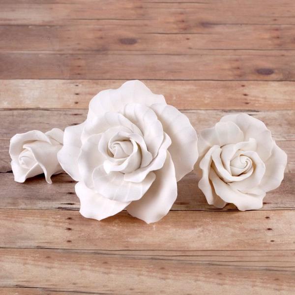 Classic Garden Rose - White