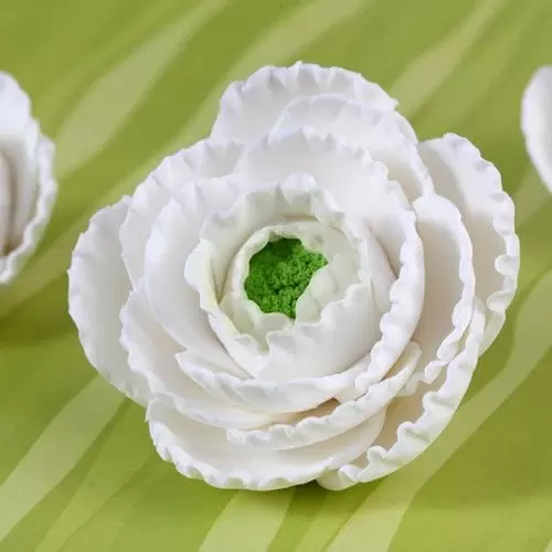 Ranunculus Flowers - White 600