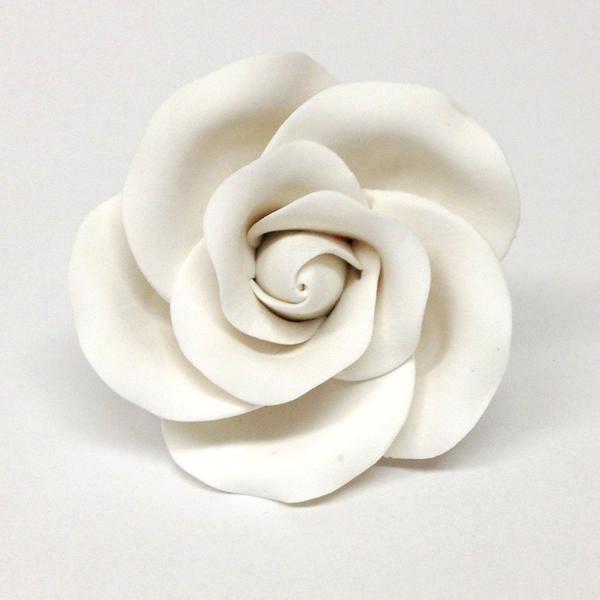 Tea Rose Large - White