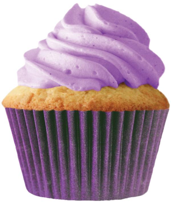 Plum/Purple Cupcake Liners - pkg of 256 600