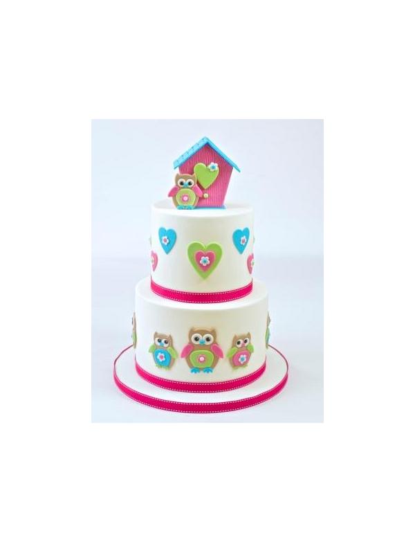 Mummy & Baby Owl Cutter Set by FMM 600